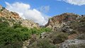 I (10) Kato Zakros gorge